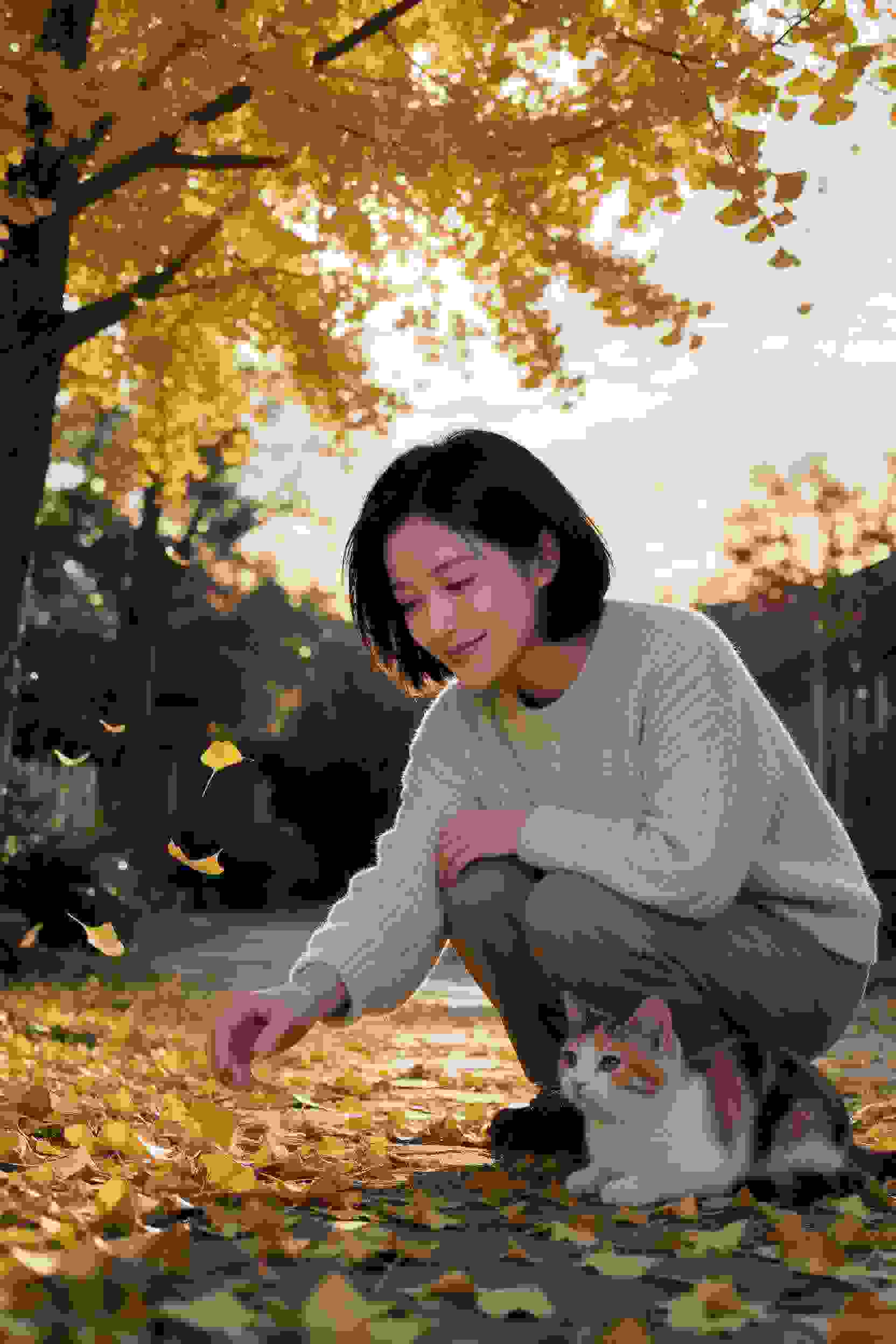 缘起时光